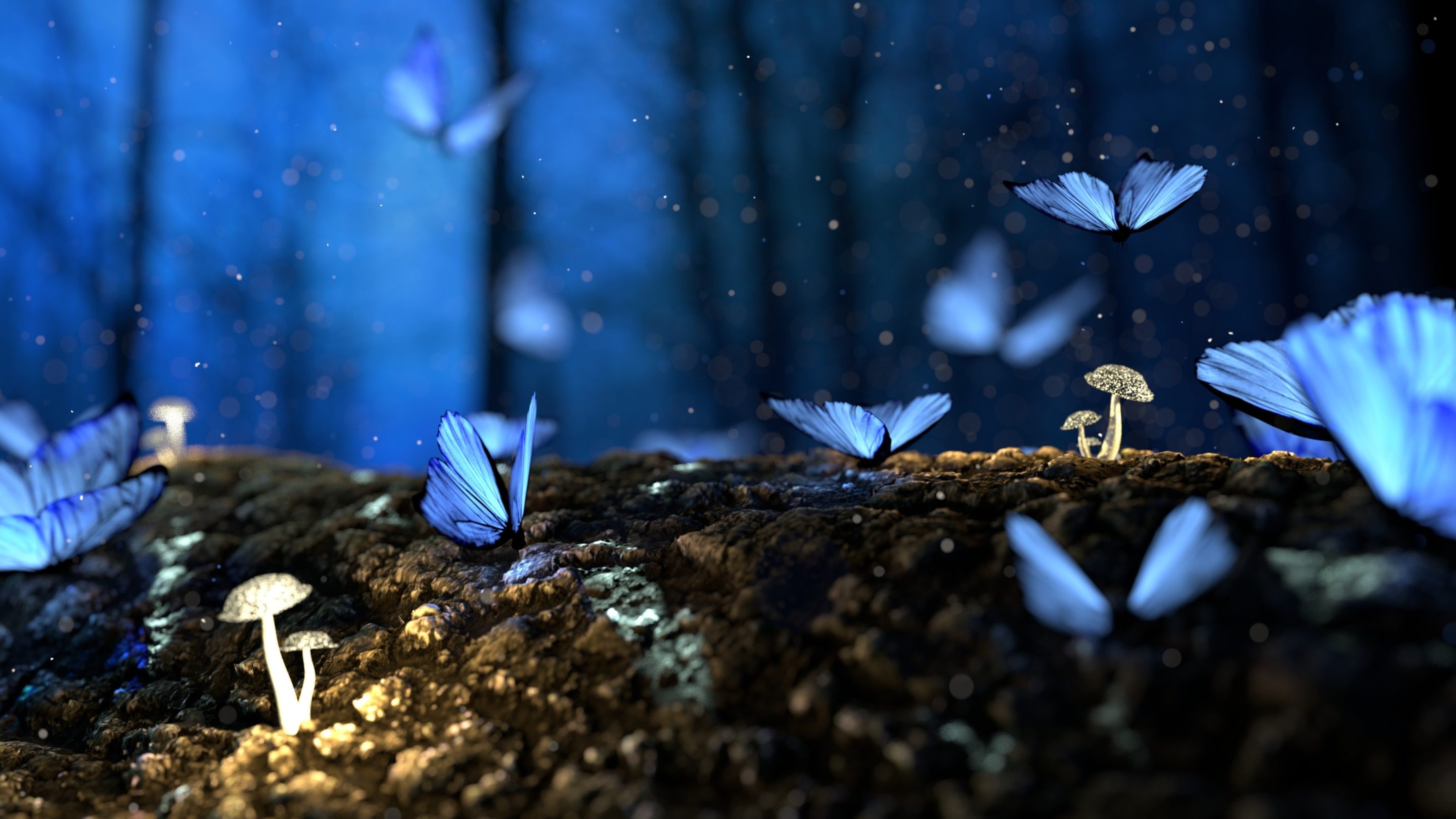 beautiful-blur-bright-326055